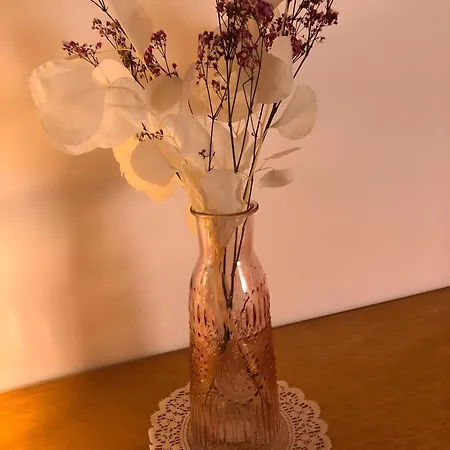 Apartment Mein Rosenbusch 1